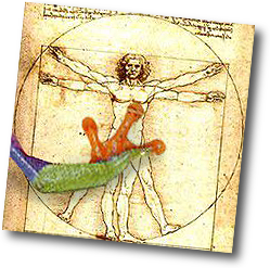treefrog foot on Leonardo da Vinci's Vetruvian Man drawing